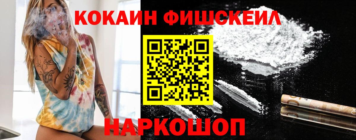 как найти закладки  Вход с VPN  КОКАИН 99%  Камышлов  Кокаин FishScale 