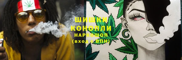 твердый Алзамай