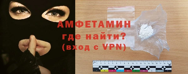 шишки Абаза