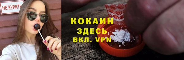 шишки Абаза