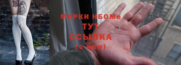 шишки Абаза