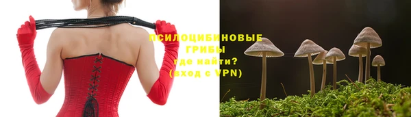твердый Алексин