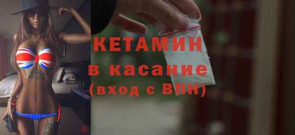 шишки Абаза