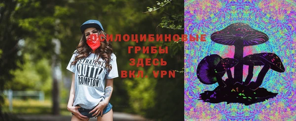 твердый Алзамай