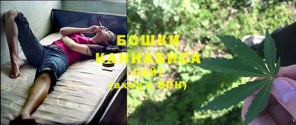 стаф Снежинск