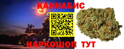гидра Малоярославец