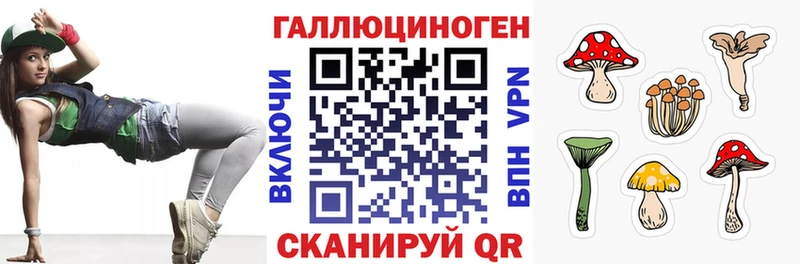 Псилоцибиновые грибы GOLDEN TEACHER  Камышлов 