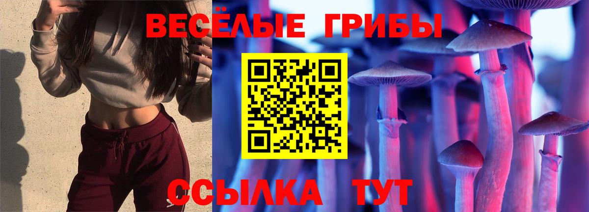 ГАШИШ  Alpha PVP СОЛЬ кристаллы  Кокаин  Камышлов  COCAIN  Конопля  Вход с VPN  МЕФ  